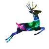 https://www.mncjobs.co.uk/company/festive-productions