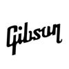 https://www.mncjobs.co.uk/company/gibson-inc
