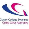 https://www.mncjobs.co.uk/company/gower-college-swansea
