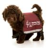 https://www.mncjobs.co.uk/company/hearing-dogs-for-deaf-people