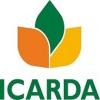https://www.mncjobs.co.uk/company/icarda