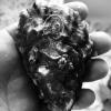 https://www.mncjobs.co.uk/company/keenan-oyster-ltd