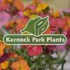 https://www.mncjobs.co.uk/company/kernock-park-plants-ltd