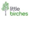 https://www.mncjobs.co.uk/company/little-birches