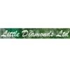 https://www.mncjobs.co.uk/company/little-diamonds-ltd
