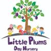 https://www.mncjobs.co.uk/company/little-plums-day-nursery