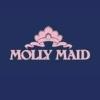 https://www.mncjobs.co.uk/company/molly-maid-uk