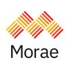 https://www.mncjobs.co.uk/company/morae-global