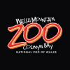 https://www.mncjobs.co.uk/company/national-zoological-society-of-wales-welsh-mountain-zoo