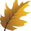 https://www.mncjobs.co.uk/company/newark-care