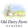 https://www.mncjobs.co.uk/company/old-dairy-farm-nursery