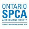 https://www.mncjobs.co.uk/company/ontario-spca-and-humane-society
