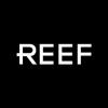 https://www.mncjobs.co.uk/company/reef-technology