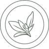 https://www.mncjobs.co.uk/company/sage-coffee-shop