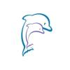 https://www.mncjobs.co.uk/company/shirley-swimming-pool