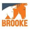 https://www.mncjobs.co.uk/company/the-brooke