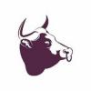 https://www.mncjobs.co.uk/company/the-bulls-head