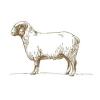 https://www.mncjobs.co.uk/company/the-lamb-inn