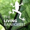 https://www.mncjobs.co.uk/company/the-living-rainforest