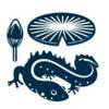 https://www.mncjobs.co.uk/company/the-newt-in-somerset