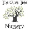 https://www.mncjobs.co.uk/company/the-olive-tree-nursery-bridgwater-somerset