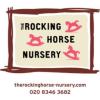 https://www.mncjobs.co.uk/company/the-rocking-horse-nursery