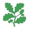 https://www.mncjobs.co.uk/company/the-sawley-arms