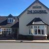 https://www.mncjobs.co.uk/company/the-squirrel-pub