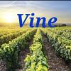 https://www.mncjobs.co.uk/company/the-vine