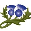 https://www.mncjobs.co.uk/company/thistle-lodge-specialist-care-ltd