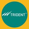 https://www.mncjobs.co.uk/company/trident-group