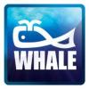 https://www.mncjobs.co.uk/company/whale-tankers-ltd