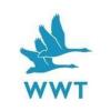 https://www.mncjobs.co.uk/company/wildfowl-and-wetlands-trust