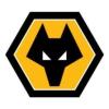 https://www.mncjobs.co.uk/company/wolverhampton-wanderers-fc
