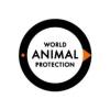 https://www.mncjobs.co.uk/company/world-animal-protection