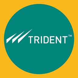 https://www.mncjobs.co.uk/company/trident-group