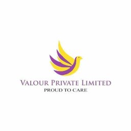https://www.mncjobs.co.uk/company/valour-health-care-services