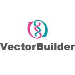 https://www.mncjobs.co.uk/company/vectorbuilder-inc