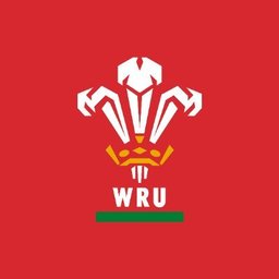 https://www.mncjobs.co.uk/company/welsh-rugby-union