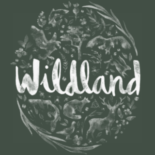 https://www.mncjobs.co.uk/company/wildland