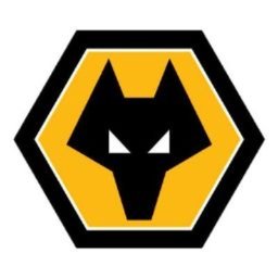 https://www.mncjobs.co.uk/company/wolverhampton-wanderers-fc