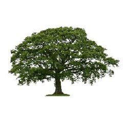 https://www.mncjobs.co.uk/company/woodside-lodge-ltd