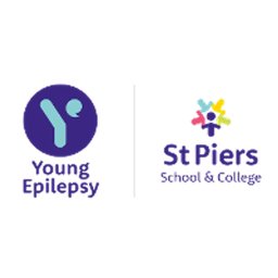 https://www.mncjobs.co.uk/company/young-epilepsy
